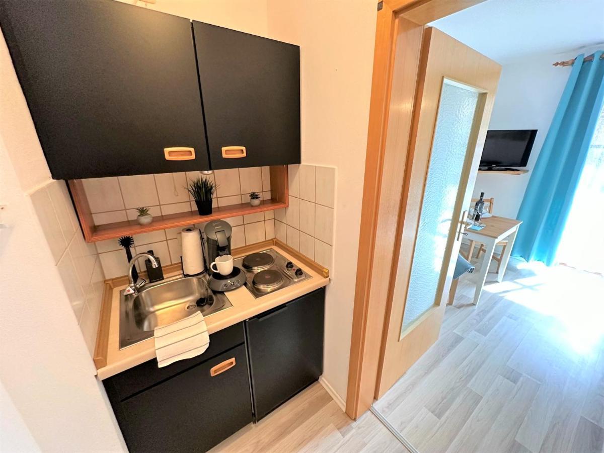 Cozy Apartment Bavarian Forest +Pool +Sauna +Netflix Zwiesel Εξωτερικό φωτογραφία